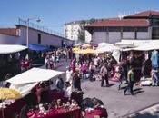 Fare shopping alla fiera ladri