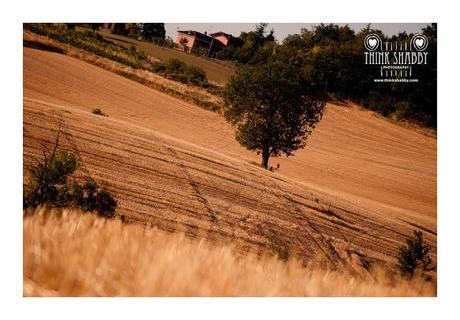 Get lost in the fields...