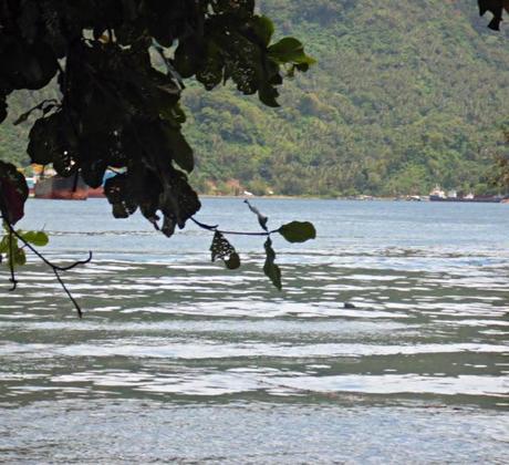 Viaggi in Indonesia: scorcio panoramico di Bitung