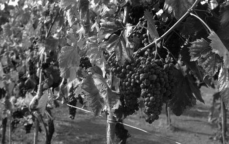 101 cose su di me/ parte 4°