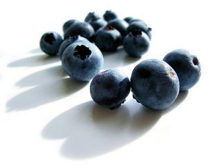 Fresh blueberries macro on white background with shadows