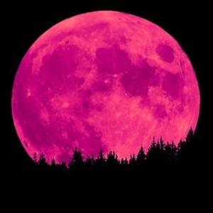 moon-pink