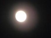 Luna rosa Curiosità