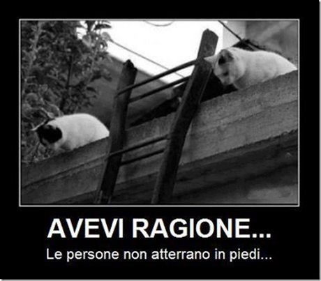 Avevi Ragione