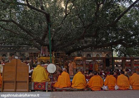 bodhgaya