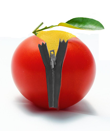 Il pomodoro ritoccato con Gimp