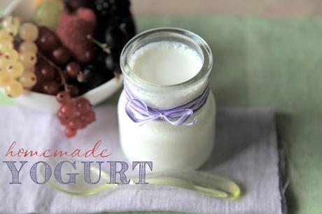 Homemade Yogurt (without the yogurt maker ;)