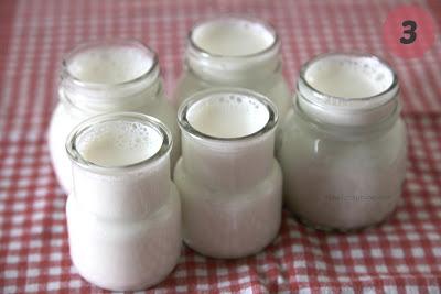 Homemade Yogurt (without the yogurt maker ;)