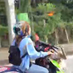 Thailandia, l’uccello che accompagna volando la motociclista (video)