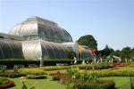 Kew Gardens