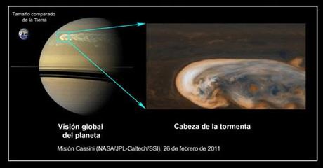 Great White Spot of Saturn by Cssini