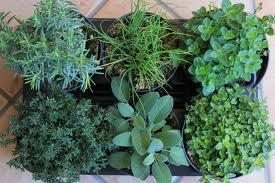 In giardino con i bimbi!