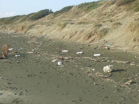 Spiaggia bella e abbandonata