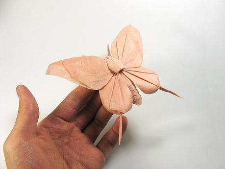 Gli Origami di Hùng Cường