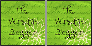 The versatile blogger V-VI