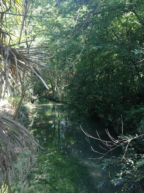 Parco di Villa Chiozza a Cervignano del Friuli