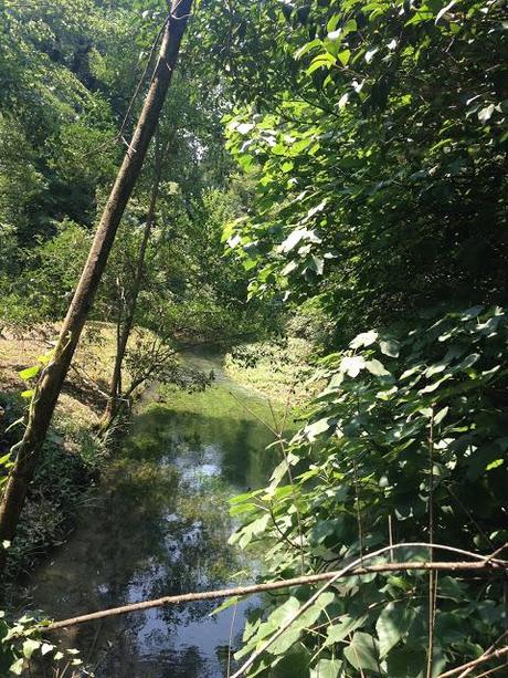 Parco di Villa Chiozza a Cervignano del Friuli