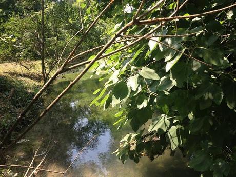 Parco di Villa Chiozza a Cervignano del Friuli