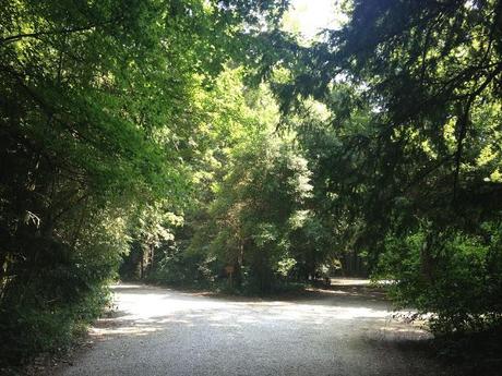 Parco di Villa Chiozza a Cervignano del Friuli