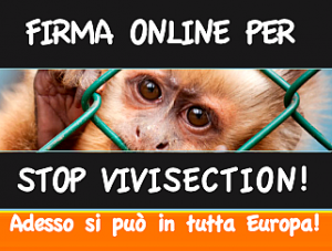 Stop Vivisection conference at the European Parliament - 26th of June 2013
