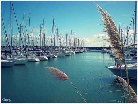 Charme Bretonne.