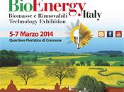 BioEnergy Italy 2014 fiera internazionale bioenergie biomasse