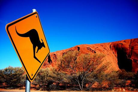 Kangaroo Sign Australia