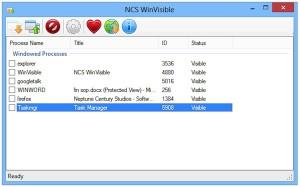 NCS-WinVisible