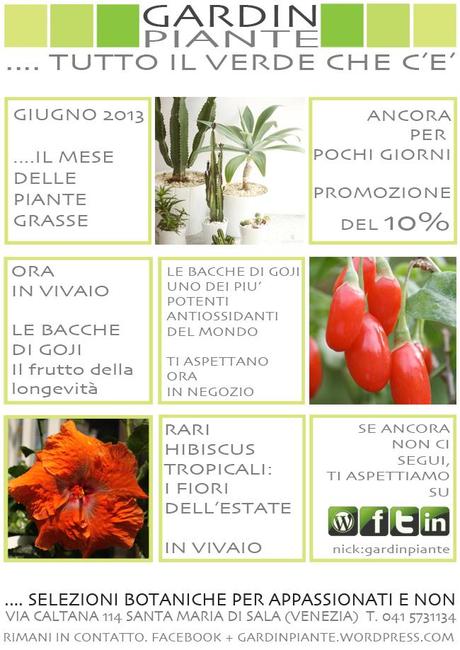 250613_Gardinpiante_newletter