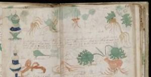 Contrordine: il Codice Voynich non è una bufala