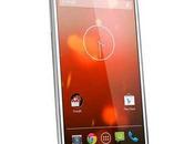Prezzo Galaxy Google Edition disponibile Play Store