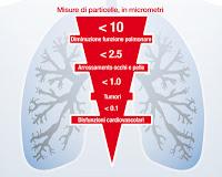 Si Tav e No Tav: Intervista Doppia