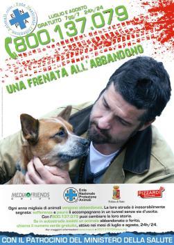 C 2 articolo 1102832 imagepp Nuove iniziative contro gli abbandoni degli animali: un nuovo numero verde