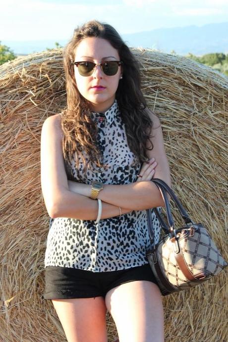 Un dalmata nel grano -  Outfit