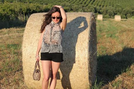 Un dalmata nel grano -  Outfit