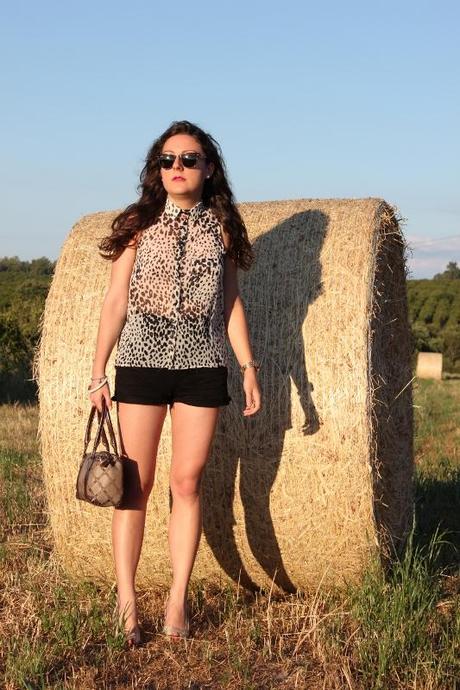 Un dalmata nel grano -  Outfit