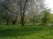 bellezza Royal Parks