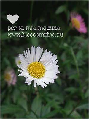 Estate tempo di app dedicate alla fotografia