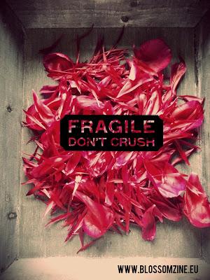 Estate tempo di app dedicate alla fotografia