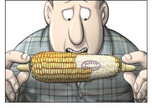 monsanto