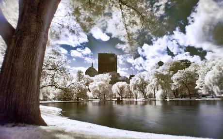 Boston Common (foto di Werner Kunz)