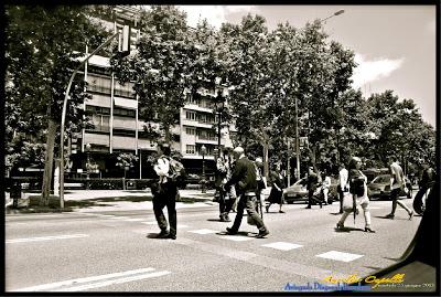 Avinguda Diagonal, Barcellona