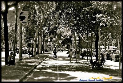 Avinguda Diagonal, Barcellona