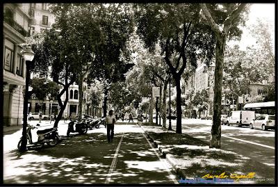 Avinguda Diagonal, Barcellona