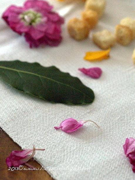 Insalata liquida di gentile al lime con baccalà e capperi fritti e un giro per gli orti veneziani