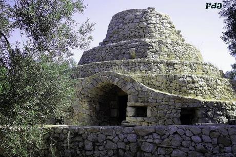 Vieni a ballare in Puglia, Puglia, Puglia…..