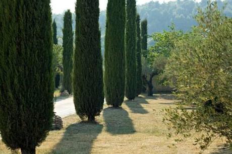 un’ Hostellerie de Charme a Menerbes nel Luberon