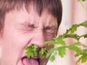 Rinite allergica