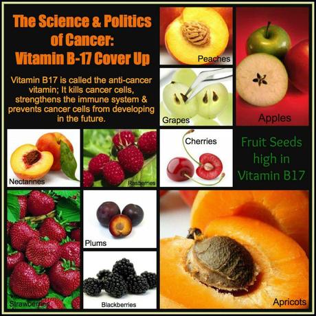 La Vitamina ‘anticancro’ B-17