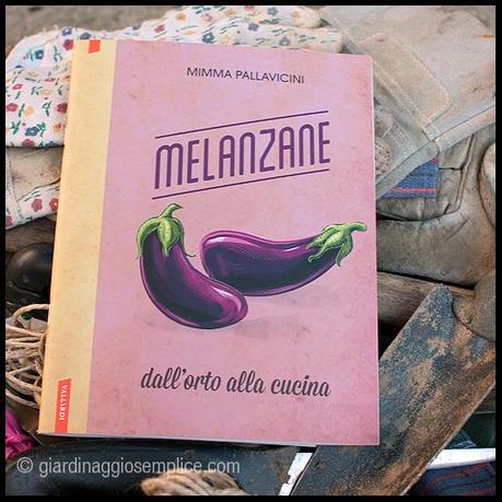 Dall’orto alla cucina: melanzane